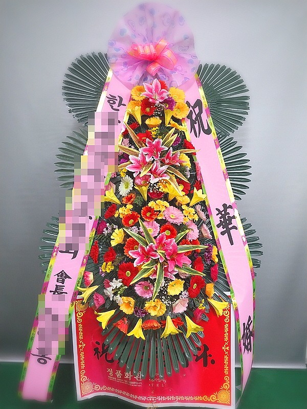 **  뱸 ͺҰ