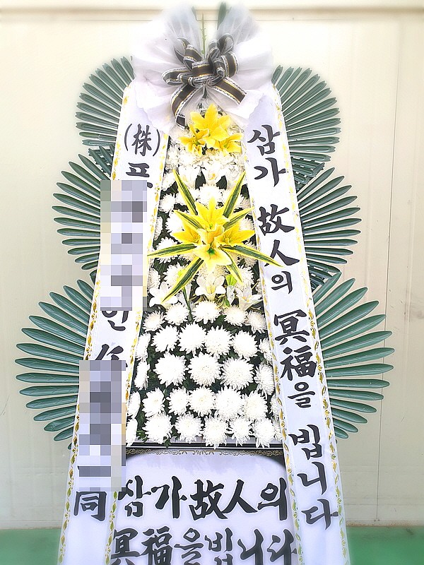 ** ǥ ؿ麴
