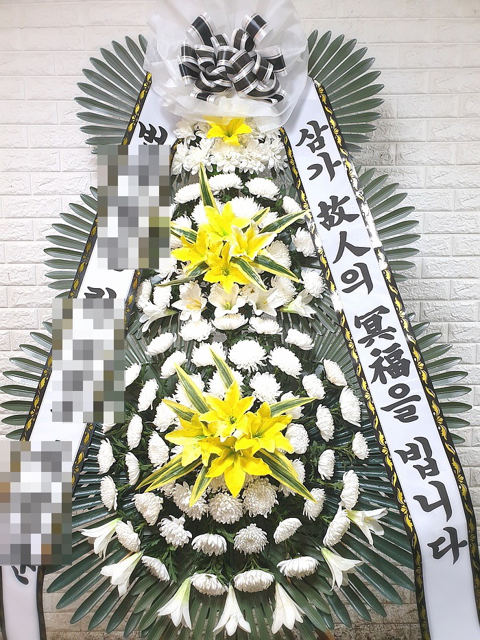 **  ƻ꺴  ȭ