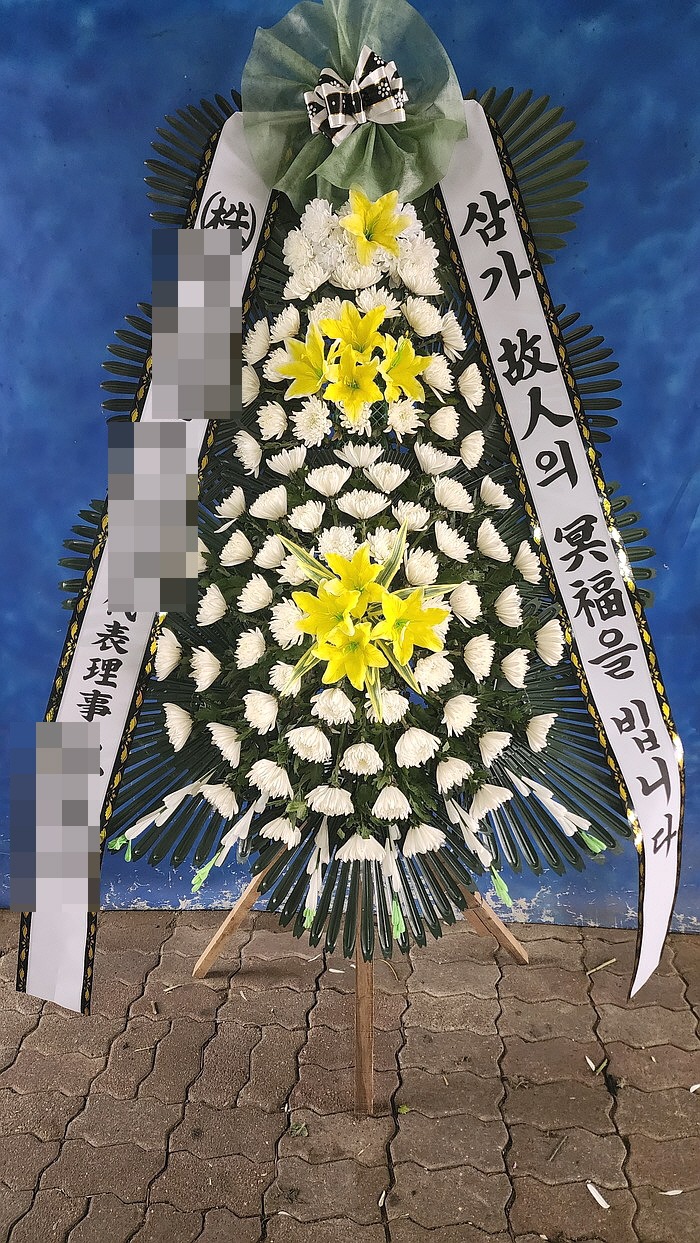 **  ϴ뺴 