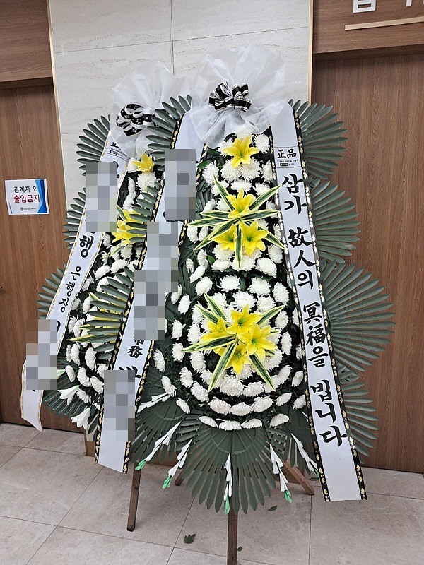 **  Ѿ뼭ﺴ ȭ